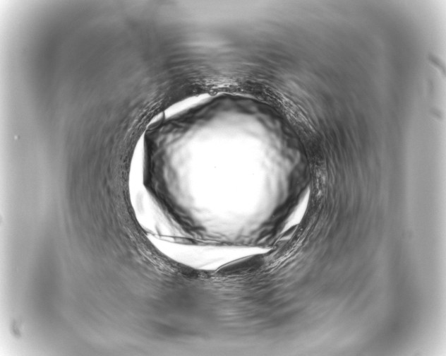 X0000093461393200711021125