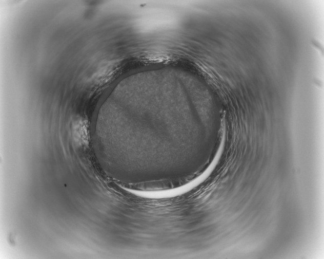 X0000093461394200711021125