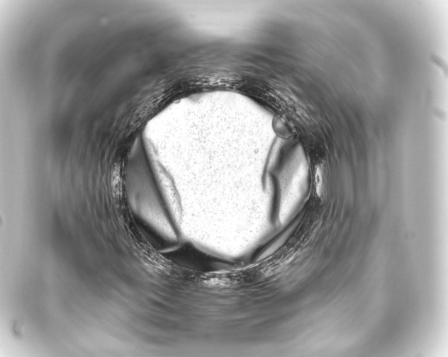 X0000093461395200711021125