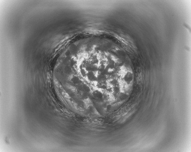 X0000093461397200711021125