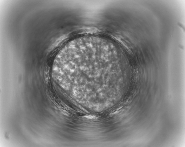 X0000093461399200711021125