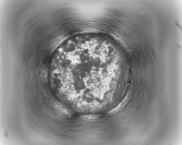 X0000093461401200711021125