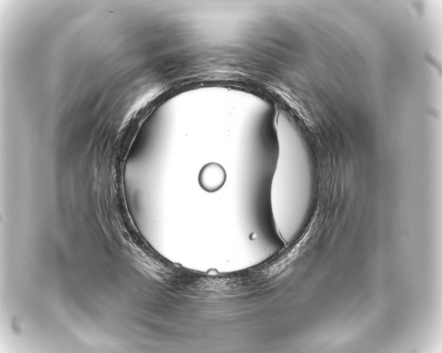 X0000093461402200711021125