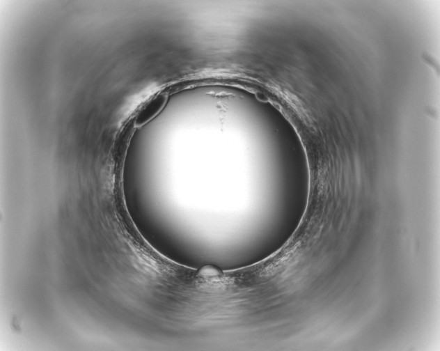 X0000093461406200711021125