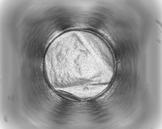 X0000093461409200711021125