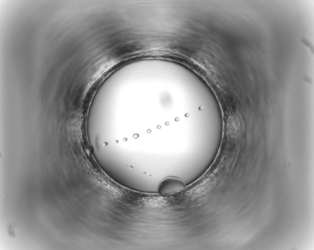 X0000093461410200711021125