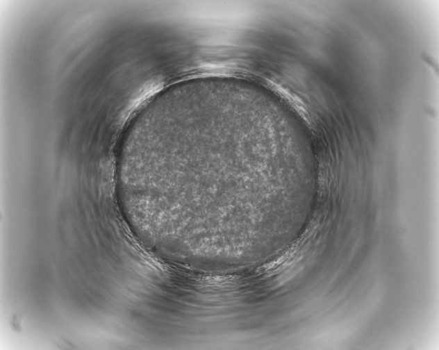 X0000093461411200711021125