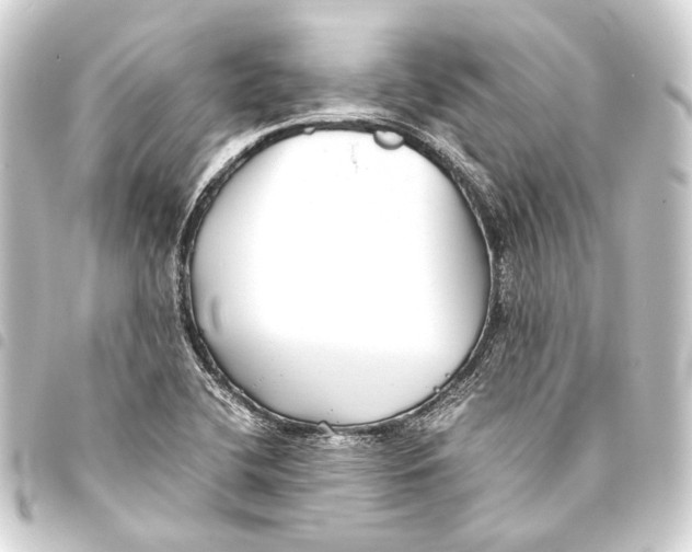 X0000093461412200711021125