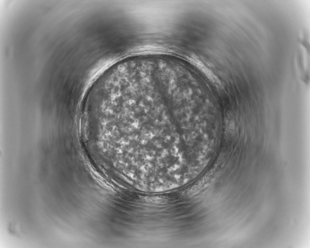 X0000093461413200711021125