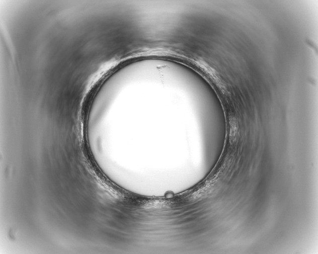 X0000093461414200711021125