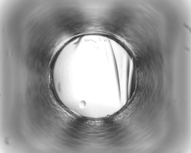 X0000093461415200711021125