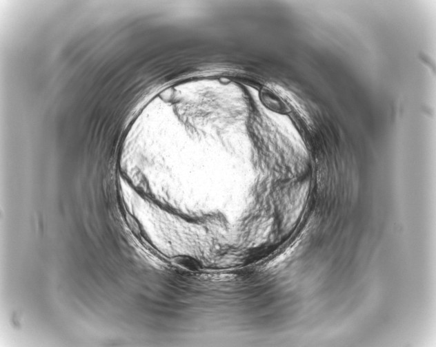 X0000093461417200711021125