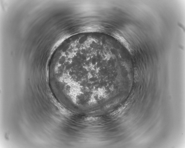 X0000093461419200711021125