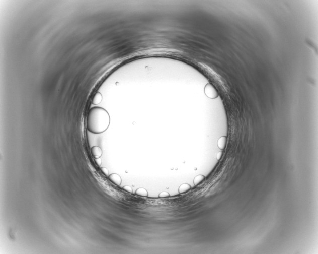 X0000093461420200711021125