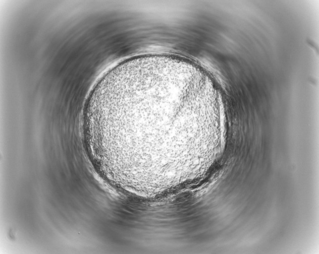 X0000093461421200711021125