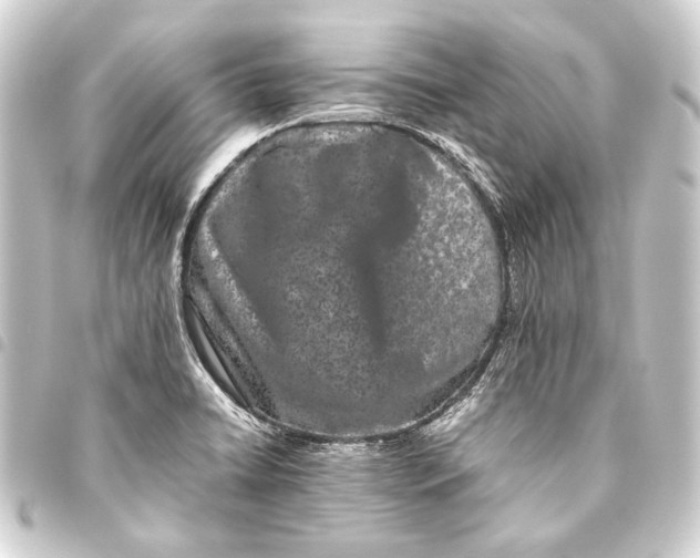 X0000093461422200711021125