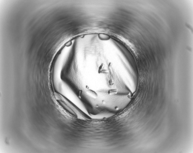 X0000093461423200711021125