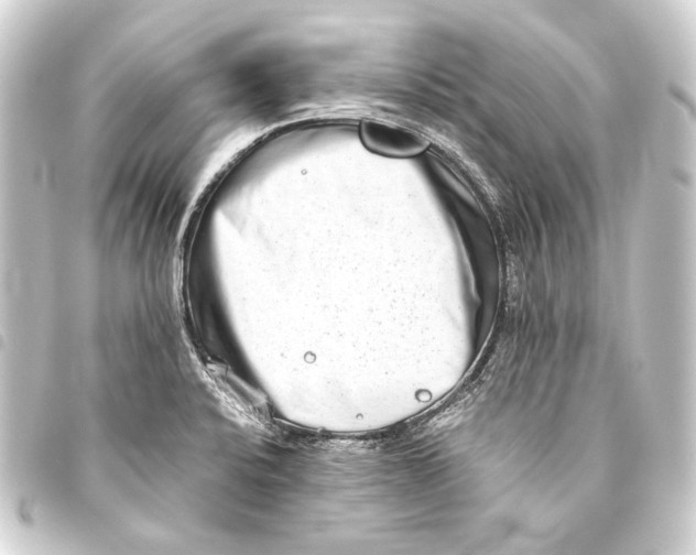 X0000093461424200711021125