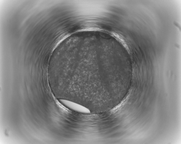 X0000093461425200711021125