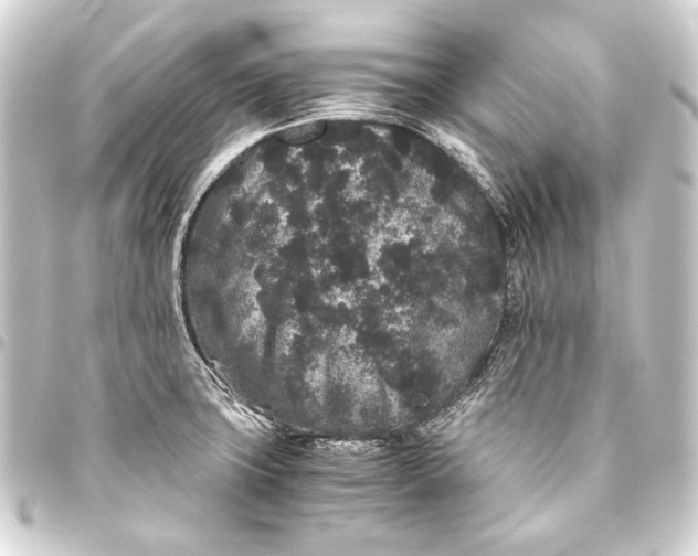 X0000093461427200711021125