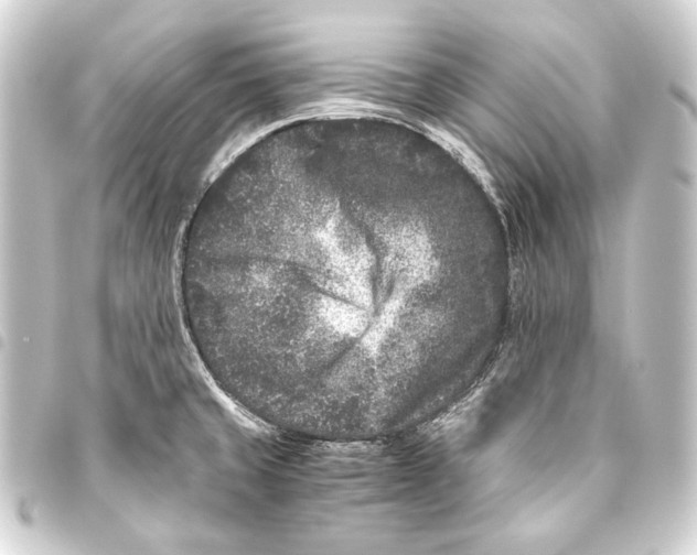 X0000093461429200711021125