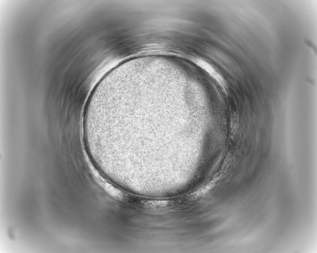 X0000093461431200711021125