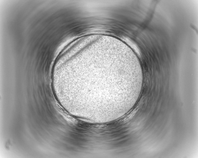 X0000093461435200711021125