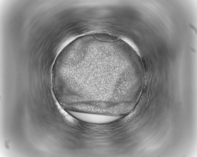 X0000093461439200711021125