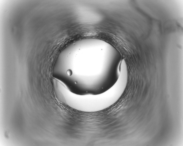 X0000093461441200711021125