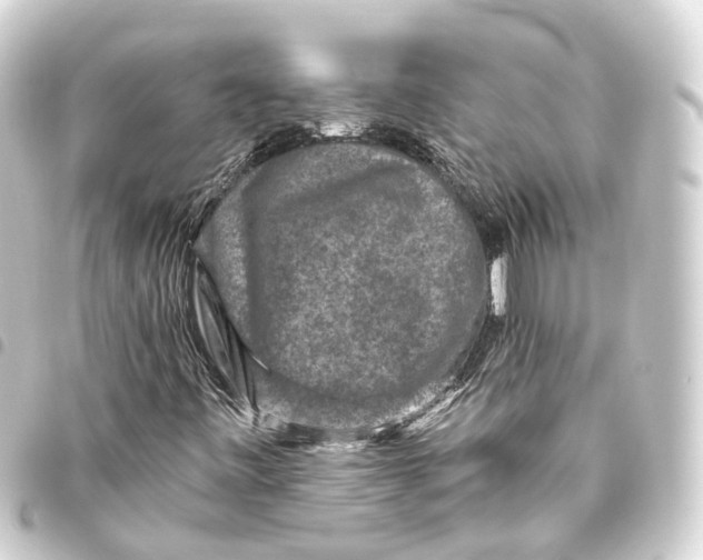 X0000093461443200711021124