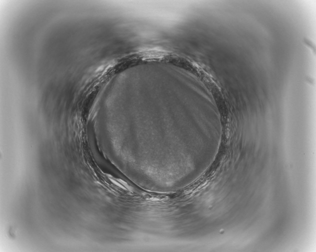 X0000093461445200711021124