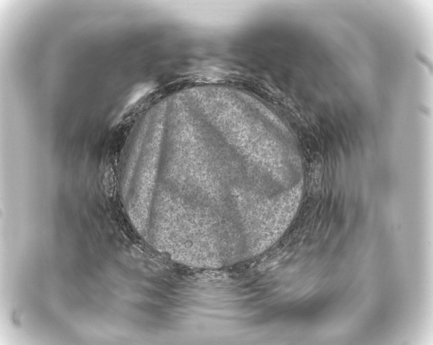 X0000093461446200711021124