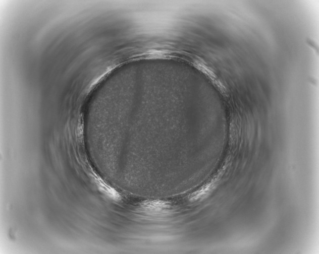 X0000093461450200711021124