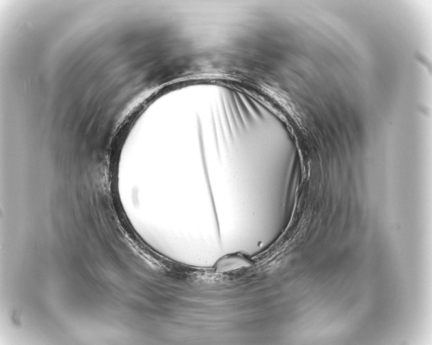 X0000093461452200711021124