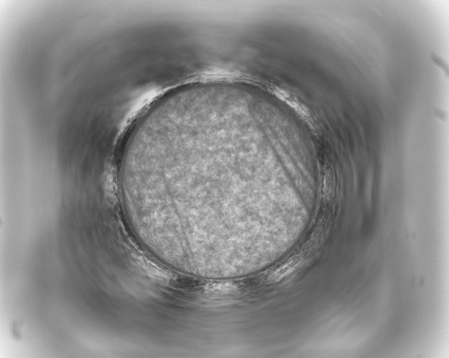 X0000093461454200711021124