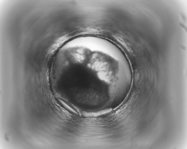 X0000093461455200711021124