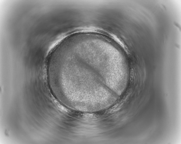 X0000093461456200711021124