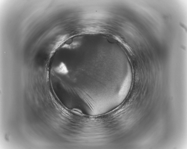 X0000093461459200711021124