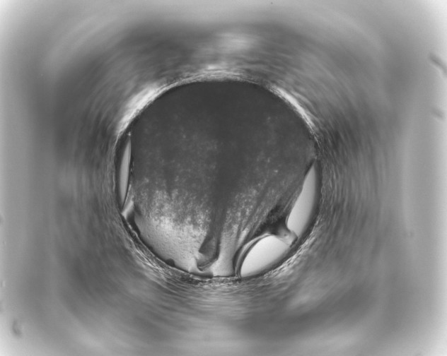 X0000093461461200711021124