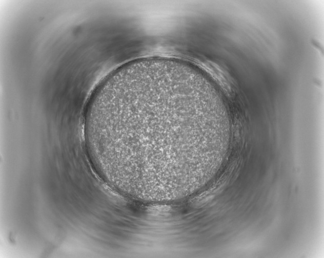 X0000093461462200711021124