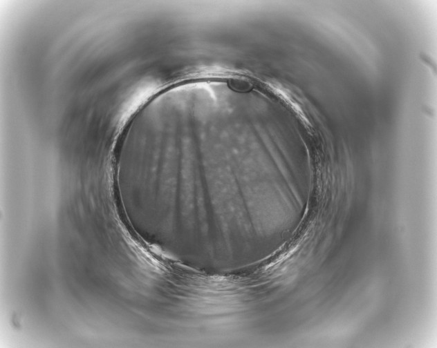 X0000093461463200711021124