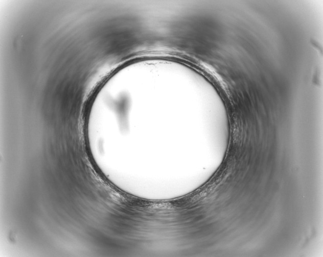 X0000093461464200711021124