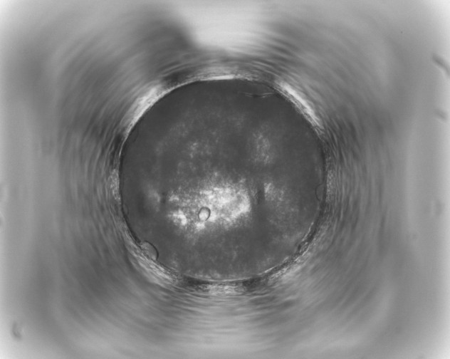 X0000093461465200711021124