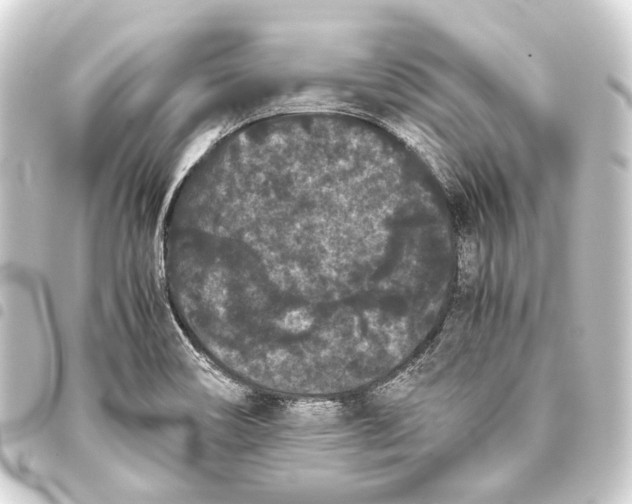 X0000093461466200711021124