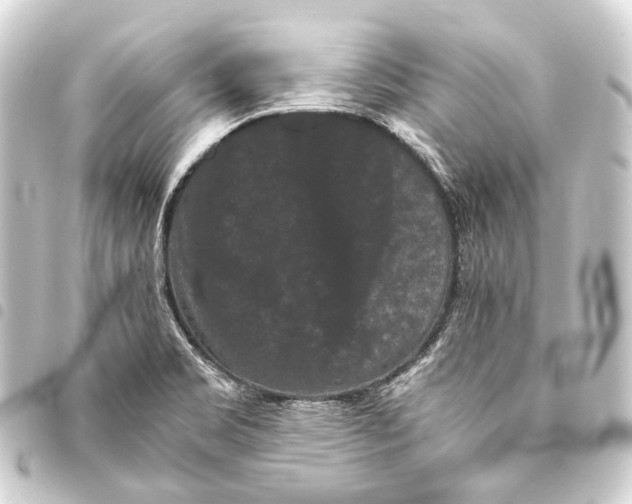 X0000093461469200711021124