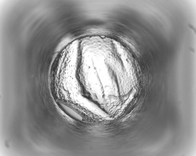 X0000093461471200711021124