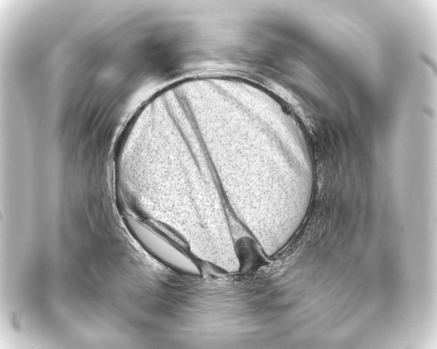 X0000093461472200711021124