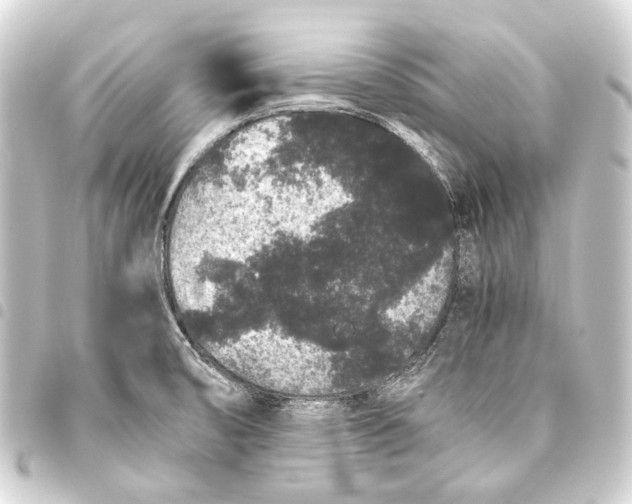 X0000093461474200711021124