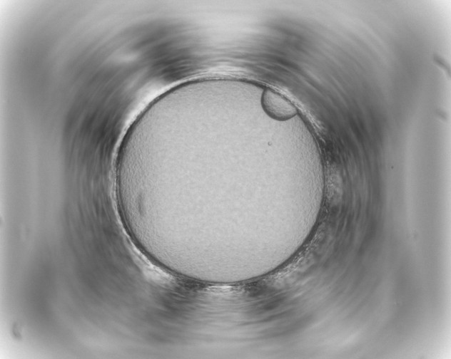 X0000093461478200711021124