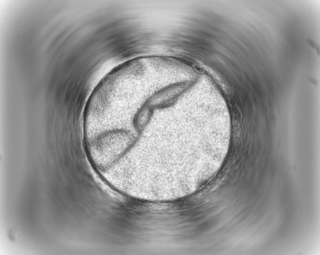 X0000093461479200711021124